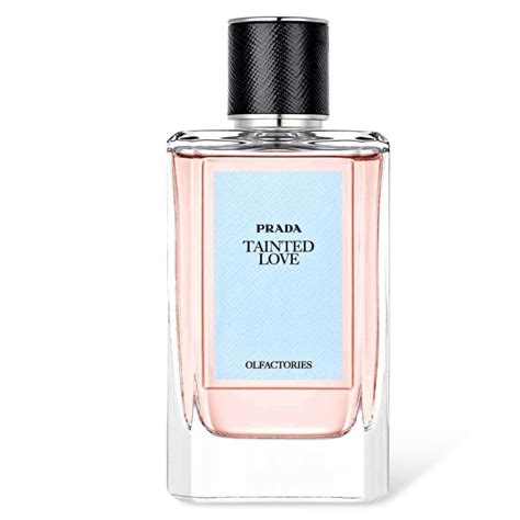 prada tainted love perfume|Olfactories .